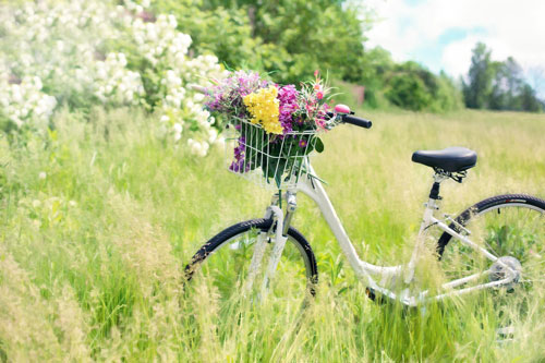 En cykel på en sommaräng